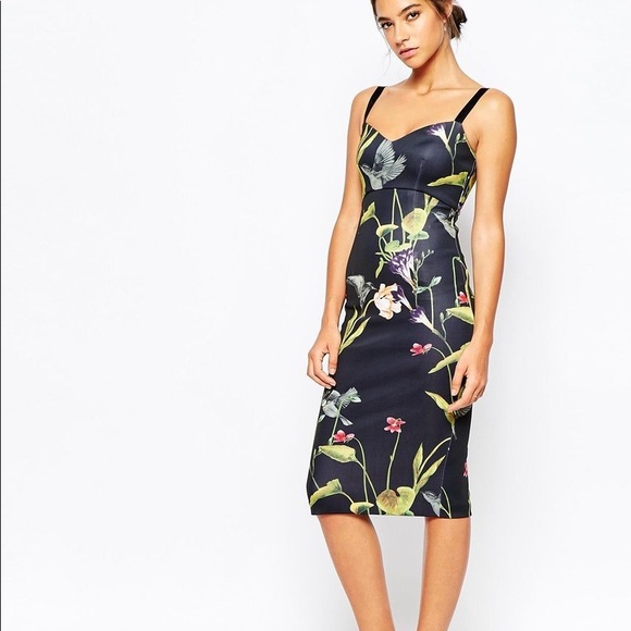 hummingbird dress ted baker